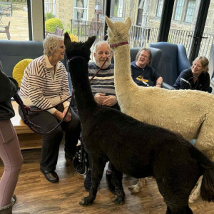 Special visitors bring smiles to Currergate Nursing Home in Steeton